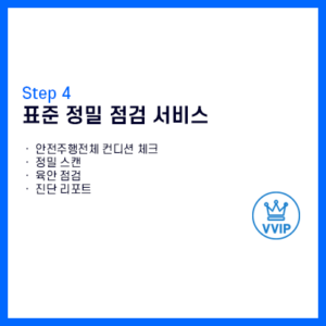 표준 정밀 점검 서비스